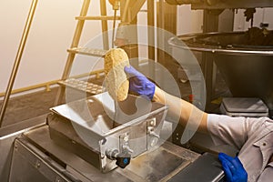 Baker puts molded dough into receiver of conveyor. Product quality control. One of stages of bread production in