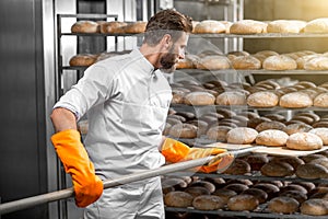 Baker putting with shovel bread loafs at the manufacturing photo