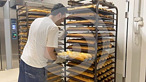 Baker removing the freshly baked loaves from the trays. Bread fresh from the oven. Concept baker, bakery, bread.