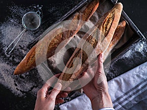 Baker`s hands hold fresh bread