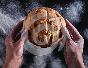 Baker`s hands hold fresh bread