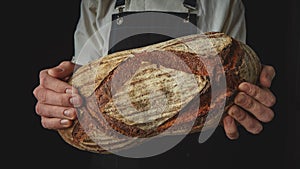 Baker`s hands hold an oval bread.