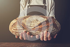 Baker`s hands hold an oval bread.