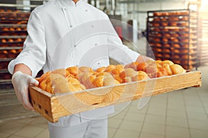 Baker`s hands hold a tray with fresh bread. Bakery concept.