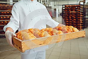Baker`s hands hold a tray with fresh bread. Bakery concept.