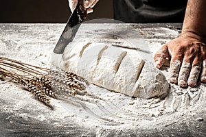 Baker`s hands and wheat bread before baking. rustic style. Man preparing bread dough