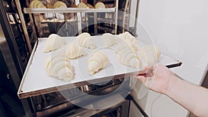 Baker takes out raw croissants from the proofer and sets them to bake in combi steamer. Rising dough