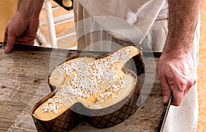 Baker about to place a colomba cake in the oven