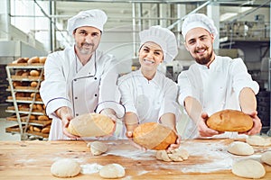 Bakers hold bread in their hands in bakery.