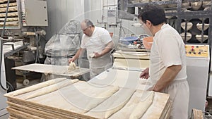 Bakers working in industrial bakery photo