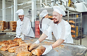 Bakers working together at baking manufacture