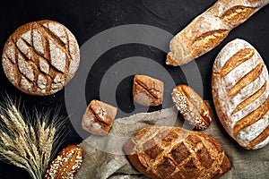 Bakery - gold rustic crusty loaves of bread and buns on black chalkboard background.