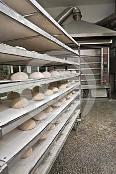 Bakery oven