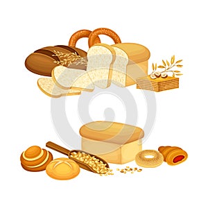 Bakery and pastry products set. Rye, whole grain and wheat bread and buns, bakery shop assortment vector illustration