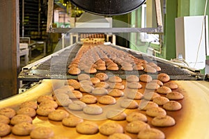 Bakery production line or with fresh sweet cookies on conveyor belt. Equipment machinery in confectionary factory photo