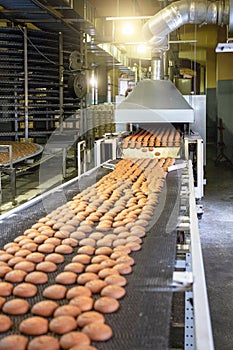 Bakery production line or with fresh sweet cookies on conveyor belt. Equipment machinery in confectionary factory workshop