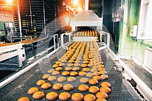 Bakery production line with sweet cookies on conveyor belt in confectionery factory workshop, food production