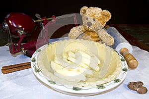 Baking Bear with Apple Pie