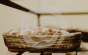 Baking bread. Dough in proofing basket on wooden table with flour, cumin and wheat ears. Top view