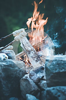 Baking bread over the fire: Barbecue outdoors with a bonfire