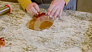 Baking Christmas Gingerbread Cookies in Modern White Kitchen