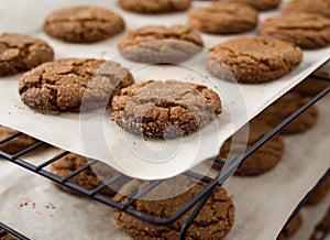 Horneando galletas 