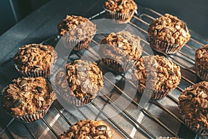 Baking cupcakes. Cooking process of muffins