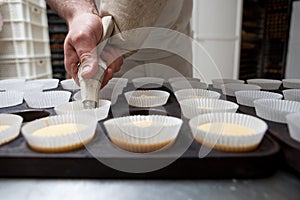 Baking cups being piped photo