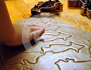 Baking of ginger-snaps for Christmas