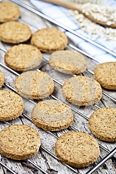 Baking grid with fresh oat cookies on rustic wooden table background, ingredients and kitchen utensil