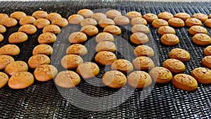 Baking production line. Cookies moving on conveyor belt