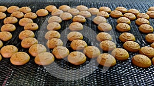 Baking production line. Cookies moving on conveyor belt