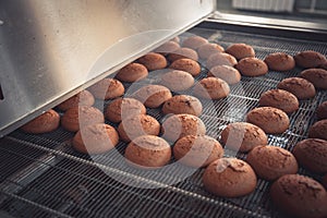 Baking production line. Just baked cookies on moving on conveyor belt from oven