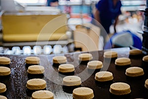 Baking production line. Raw uncooked cookies after forming going to oven by conveyor