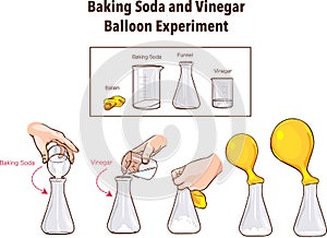 Baking Soda and Vinegar-Balloon Experiment-Science photo