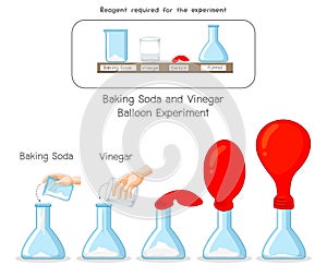 Baking Soda and Vinegar Balloon Science experiment