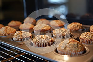 baking tray of wheat bran muffins, just from the oven