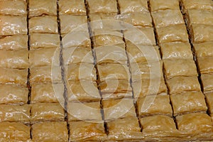 Baklava made with filo dough, honey and nuts