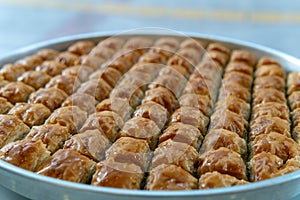 Baklava For Sale. in Gaziantep