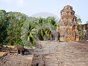 Bakong monastery - Roluos