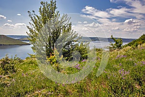 Bakota bay reservoir landscape on Dnister river, Ukraine