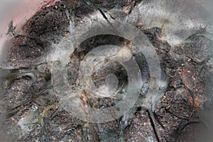 Bakteria Background background abstract illustration