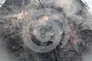 Bakteria Background background abstract illustration