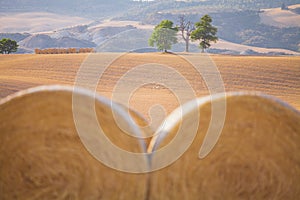 Bal of hay in a field of Val d`Orcia, Tuscany