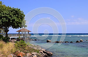 Lifestyle images of the Westin Turtal Bay Resort and Spa in Mauritius