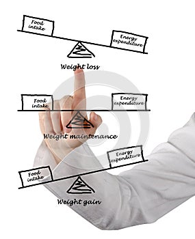 Balance between Energy intake and Energy expenditure