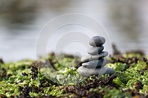 Balance and harmony in nature