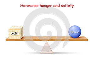 Balance of Hormones. hunger and satiety. Leptin adipose tissue and Ghrelin