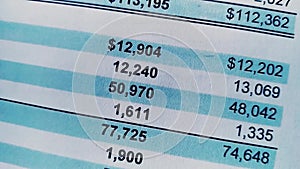 Balance sheet of financial statement, analysis of business plan for stockholders