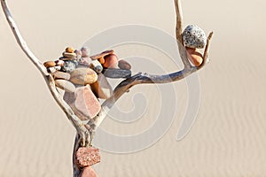 Balance of stones on a dry snag on a sand background. Zen Concept